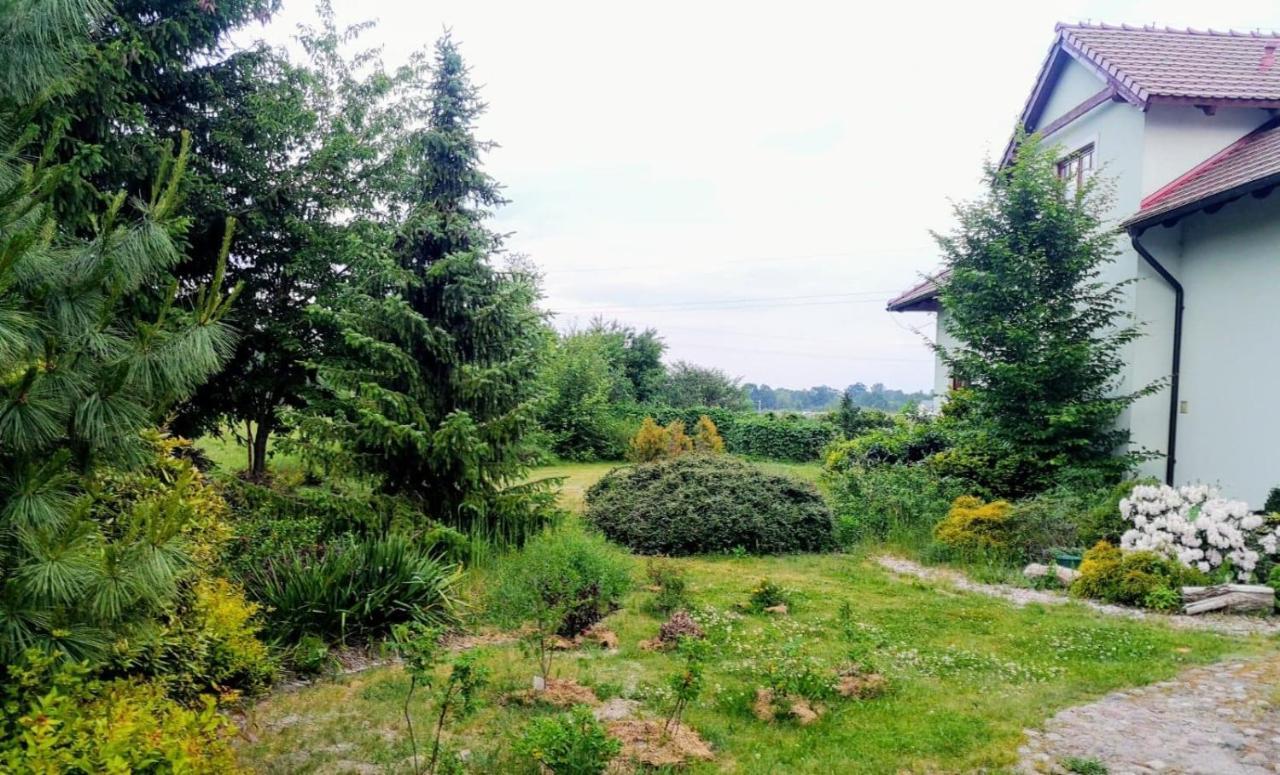 Apartamenty Zielona Góra Exterior foto